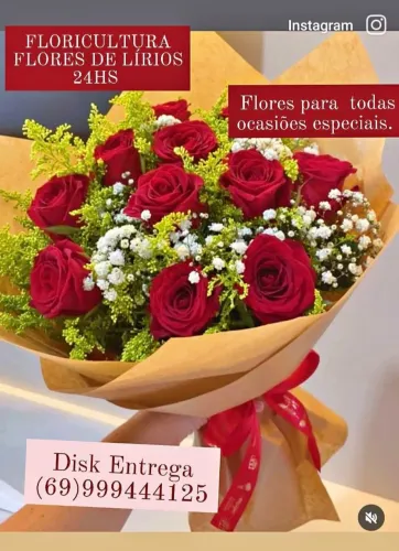 Floricultura Lírios do Campo 24hs