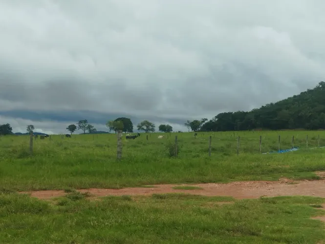Fazenda 30 alq. em montes claros Goiás. 300 mil por alq