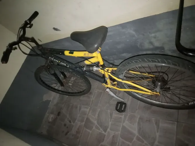 Bicleta