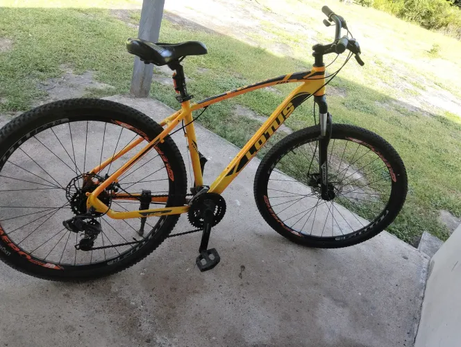 Bicicleta lótus quadro 19
