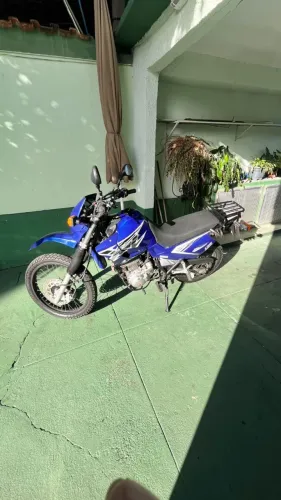 XT600