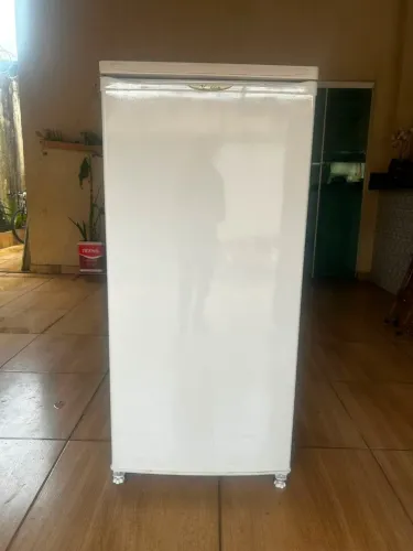Vendo geladeira 110 volts