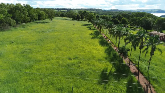 Fazenda município de Indianópolis 54 hectares