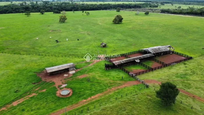 Fazenda no Mato Grosso 411 Hectares / Colíder