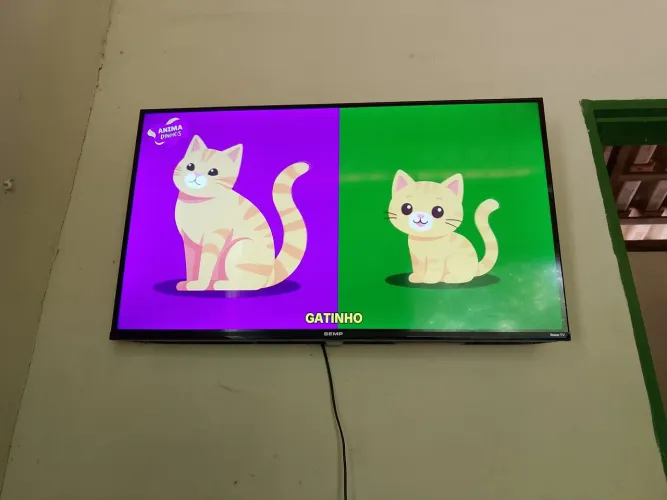 Vendo essa tv smart 32 polegadas tá funcionando perfeitamente toda original