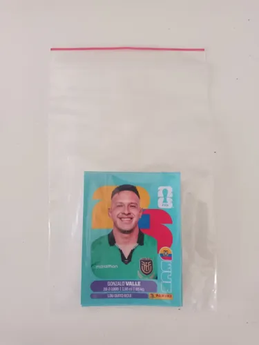 Kit 15 figurinhas copa 2026
