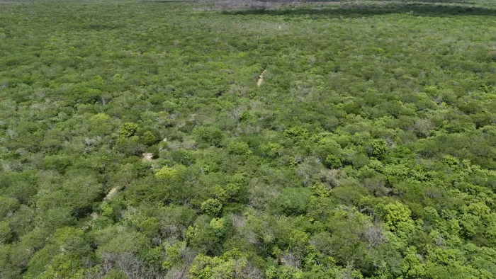 fazenda com 3.200 hectares entre assu e carnaubais e mossoro com grande potencial