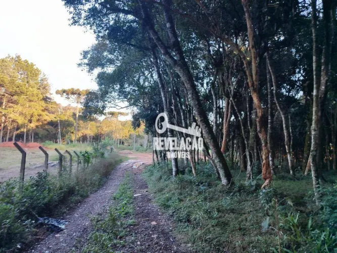 Chácara à venda, 3054 m² por R$ 499.000,00 - Borda Do Campo - São José dos Pinhais/PR