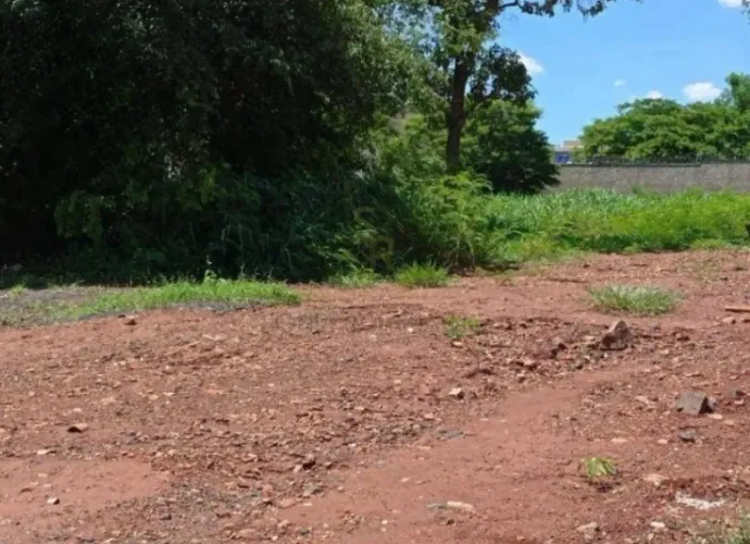 Terreno/Lote Terreno no Bairro Alto da Boa Vista em Ribeirão Preto/SP.