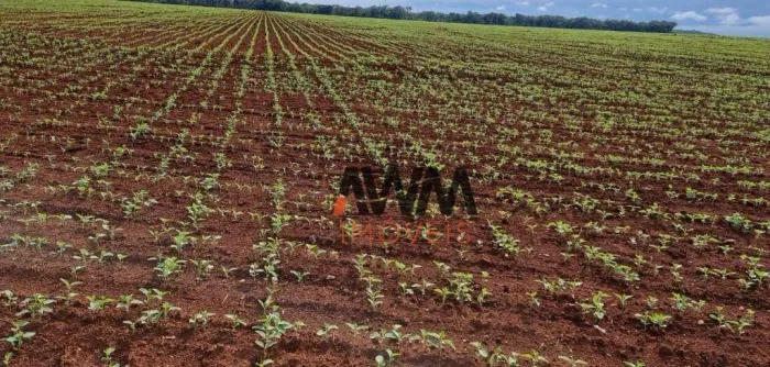 Fazenda à venda, 100000000 m² por R$ 400.000.000,00 - Setor Central - Pedro Afonso/TO