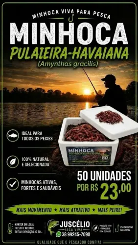 50 minhocas por 23,00 reais