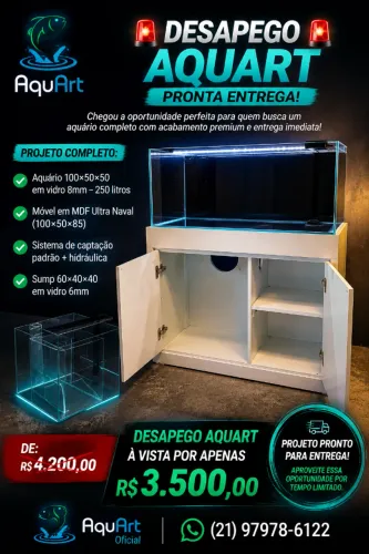  Projeto Completo  Aquário 100×50×50 em vidro 8mm - 250 litros 