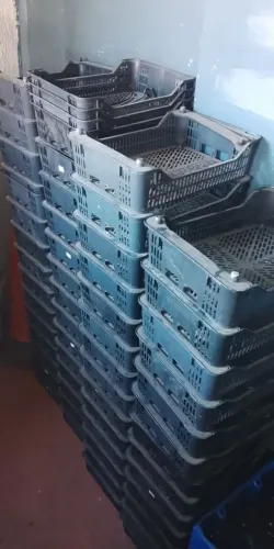 Vendo 80 caixas de plásticos organizadora 33cmx26cm facilito entrega