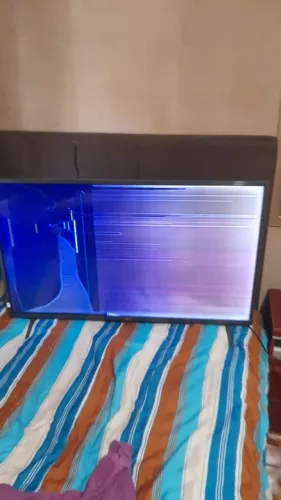 Tv LG 43 polegadas com o display quebrado 