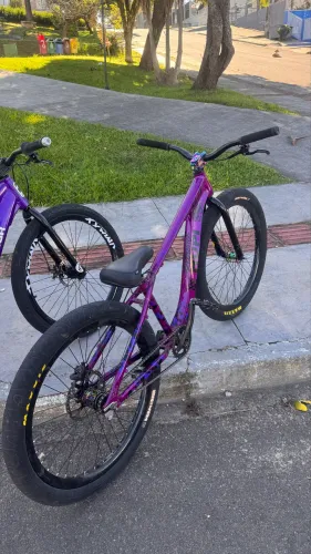 HUPI naja roxa 2025