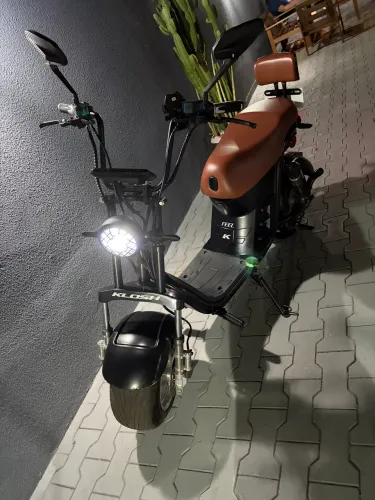 Scooter x12,1000w