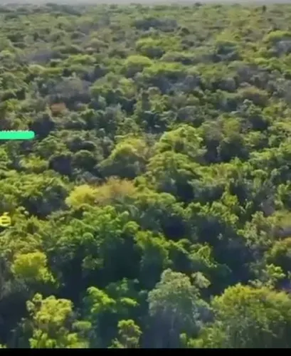 1008 hectares no piaui