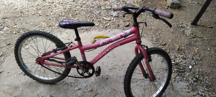 Bicicleta