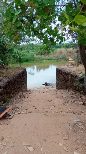Rancho/Chacara Cocalinho para Pesca 5.300m2 com Grande área construída 