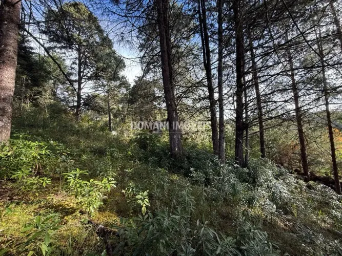 Lote com Excelente Custo-Benefício em Descansópolis - Campos do Jordão/SP | Mais de 1.100