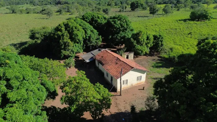 Excelente Fazenda de 52 Hectares em Buritis MG