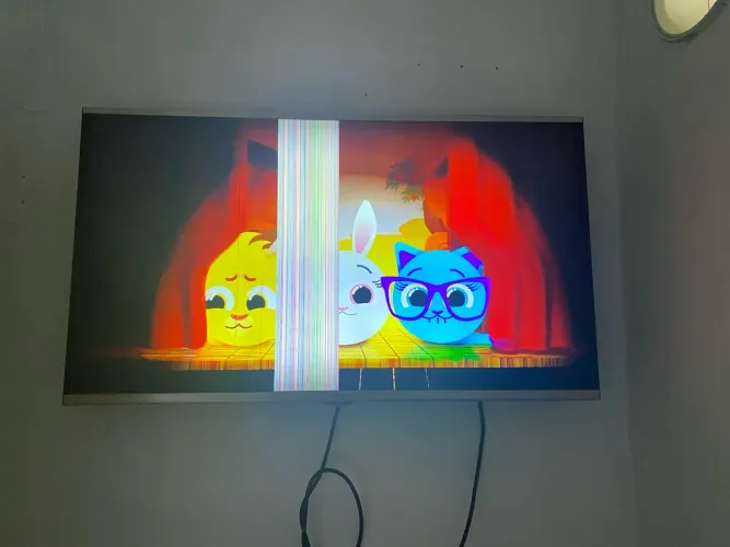Televisão