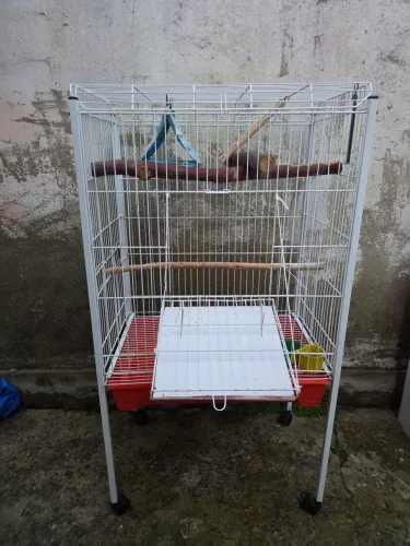 Gaiola grande