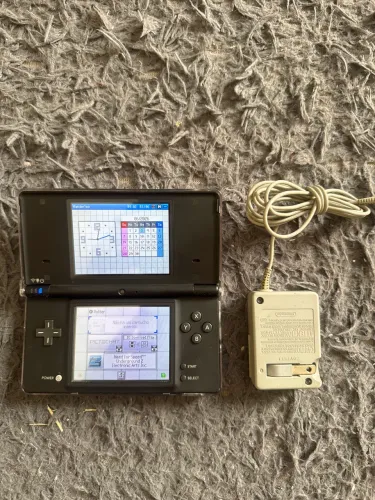 Nintendo DSi desbloqueado