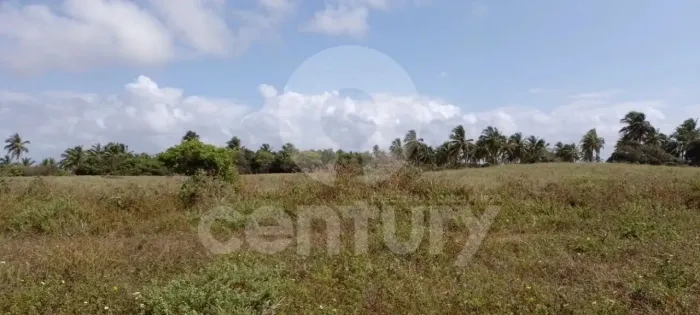 Terreno à venda na Barra dos Coqueiros