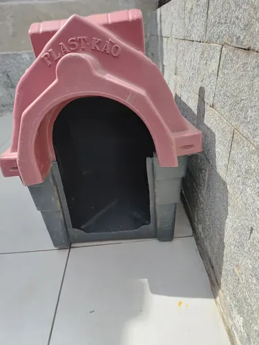 Casa para cães 