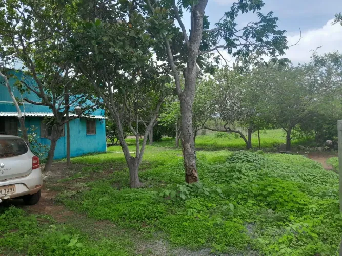 Fazenda em Flores de Goiás