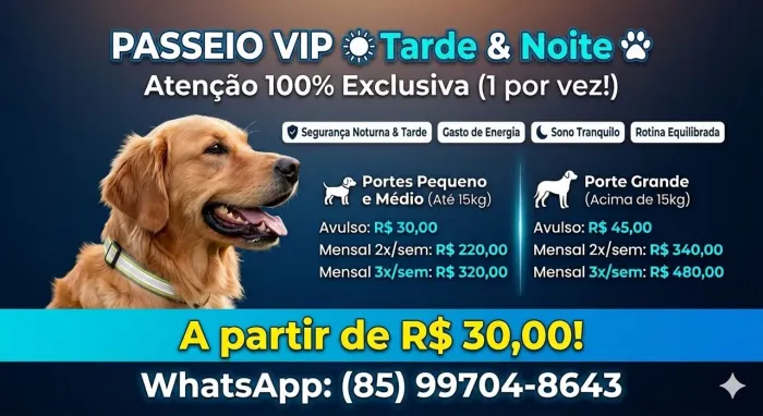 Passeio para Cães (Tarde e Noite) - Atendimento VIP Individual (1 por vez)