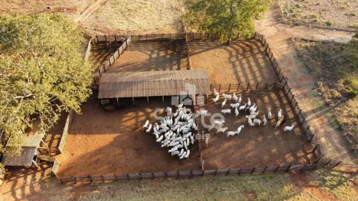 Fazenda à venda com 500 hectares por R$ 22.500.000,00 à 50km do Município de Costa Rica-MS