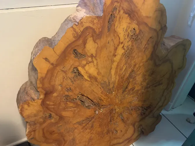 Mesa de tora de madeira IN NATURA com rodinhas RETIRAR NO LOCAL