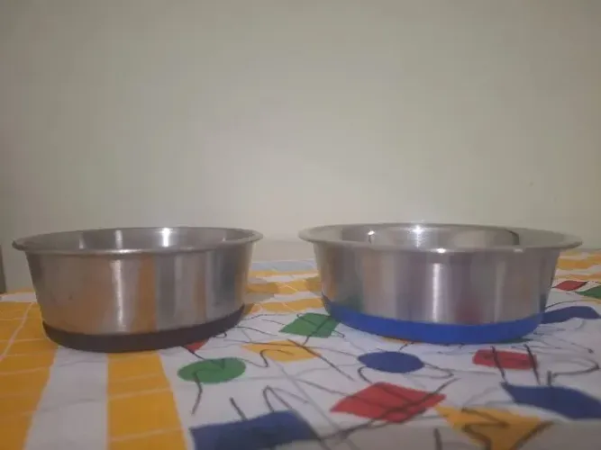 Kit comedouros inox com base de silicone