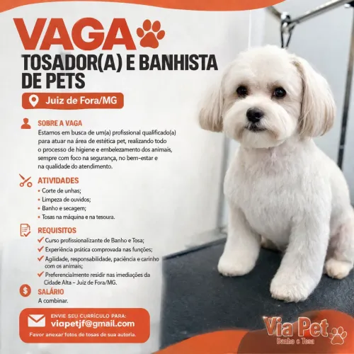Vaga para Tosador(a) e Banhista de Pets - Juiz de Fora/MG