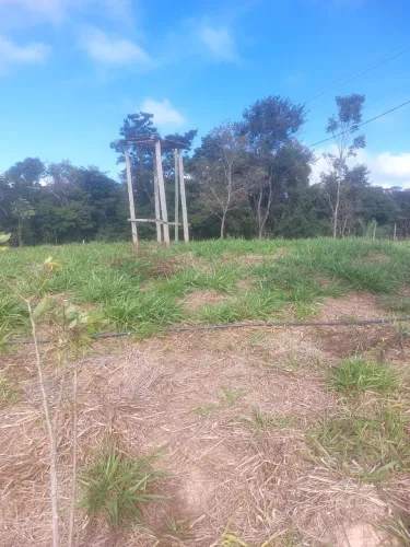 Sitio 5 m2 com casa de 3quartos 2 banhos ,sala, cozinha, varanda pomar com várias frutas  