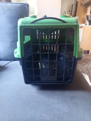 Viajante para pet