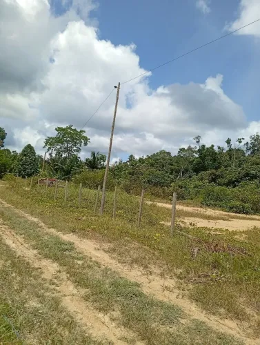 Vendo terreno no KM 41 BR 174, entrada na comunidade canaã