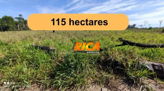 Fazenda à venda, 115 Hectares por R$ 1.150.000 - Rural - Canutama/AM