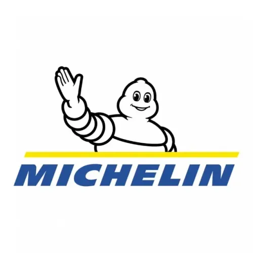 PNEUS MICHELIN / BFGOODRICH NOVOS