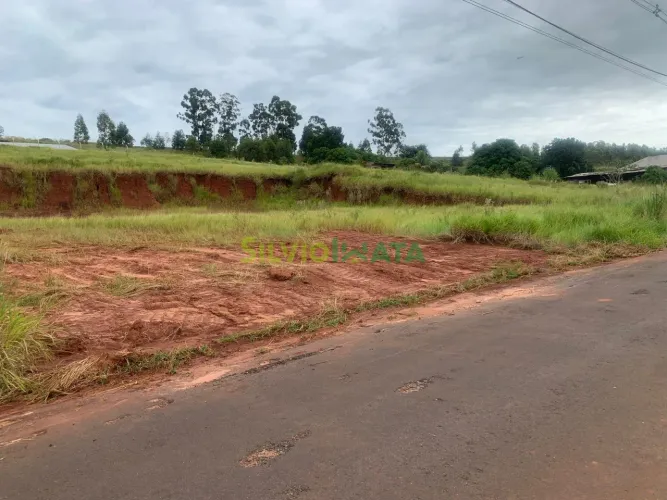 Terreno amplo à venda em Mandaguaçu PR