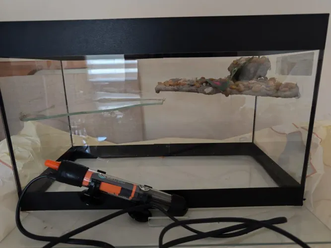 Aquaterrario + aquecedor