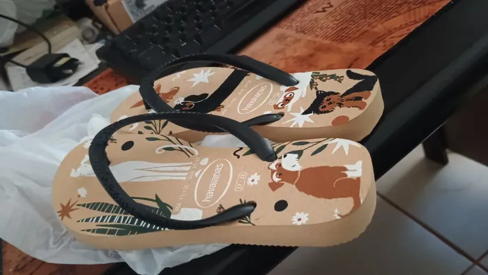 Chinelo havaianas 