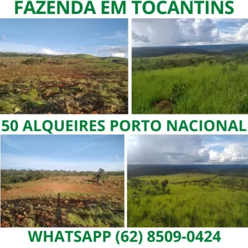 Fazenda Excelente 50 Alqueires Cachoeira em Tocantins Porto Nacional Preço Documento Ok