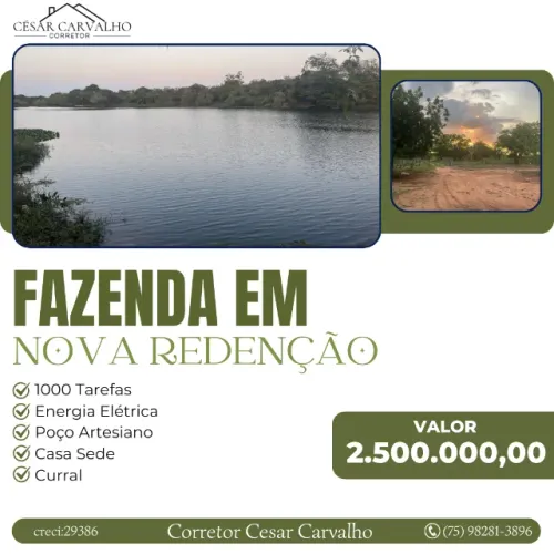 FAZENDA EM REDENÇÃO - 1000 TAREFAS
