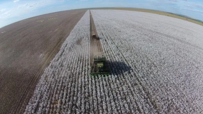 R$1Bilhão Fazenda de 15.137 ha em Primavera do LesteMT
