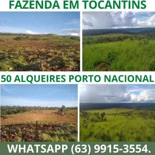 Fazenda à Venda em Porto Nacional - Ideal para Lavoura ou Gado