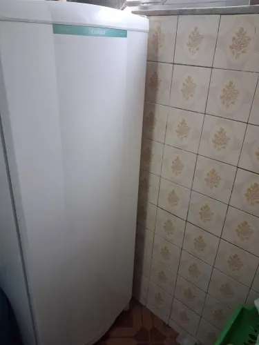 Geladeira Consul 261 Litros 110v