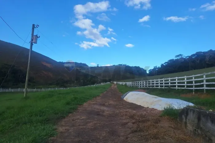 Fazenda dos Sonhos em Alfredo Vasconcelos/MG!